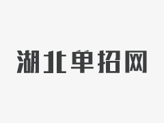 长江艺术工程职业学院2023年高职单招专业及计划