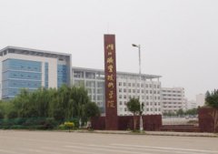 湖北省高职单招开设表演相关专业的学校有哪些