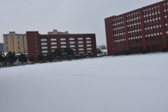 <b>长江艺术工程职业学院</b>