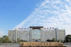 2022年武汉城市职业学院单招专业有哪些？